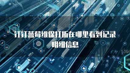 多乘單CRM返點查詢與信息系統(tǒng)運行維護服務詳解