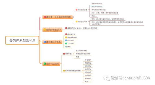 會員積分體系產(chǎn)品設計與信息系統(tǒng)運行維護服務